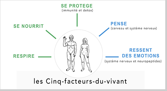 les cinq facteurs du vivant